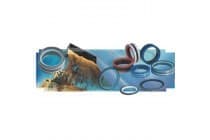 D-A-S组合密封圈