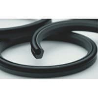 2K型特康®斯特封®Turcon®Stepseal®2K