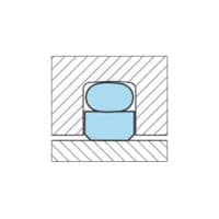 特康®格莱圈®Turcon®Glyd Ring®