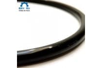 NOK NBR70 O型橡胶密封圈G系列 C0 2176