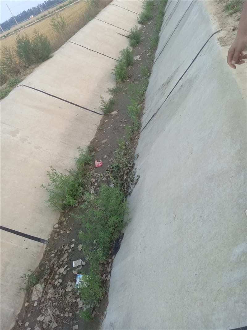 自流平型双组份聚硫密封胶 自流平型双组份聚硫密封胶