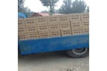 美佳弹塑体无缝伸缩缝