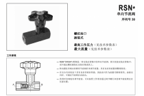 单向节流阀RSN2-I，30，V