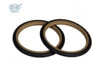 供应阶梯组合密封圈DSJ