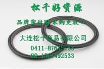 斯特封 阶梯封 聚四氟密封 拉杆封 活塞封 大尺寸密封