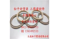 泛塞封 弹簧蓄能密封 四氟密封