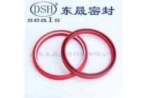 供应活塞杆密封蕾型圈BMN