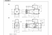柱塞式压力继电器PSP2-21N-K1，K