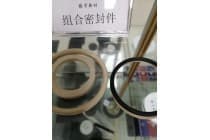 PEEK星轮片  螺旋制动器，活塞环，止推垫片，压缩机阀片