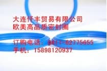 意大利GNL浮动油封