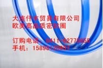 意大利GNL浮动油封