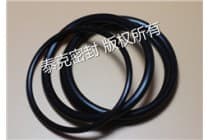 山东kalrez6375全氟醚耐高温300度O型圈可替杜邦