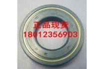 上海CFW骨架油封