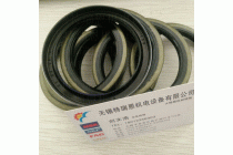 IKO铁壳油封DS15213密封圈