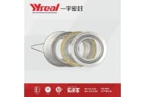 304金属缠绕垫片法兰ABCD MFM/RF法兰密封圈