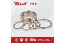 BX152 BX153 不锈钢金属密封件法兰垫钢圈环垫八角垫