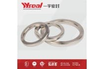 BX152 BX153 不锈钢金属密封件法兰垫钢圈环垫八角垫