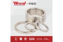 BX152 BX153 不锈钢金属密封件法兰垫钢圈环垫八角垫