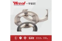 不锈钢金属齿形垫片 耐高温高压管道法兰