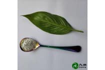 九朋透明填充剂30nm高纯氧化镁CY-Mg30杭州