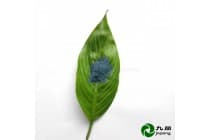 九朋 淡蓝色透明 红外辐射散热 玻璃隔热涂料CYC69