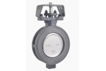 凯斯通Keystone蝶阀